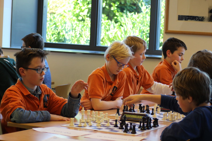 Dteam in actie